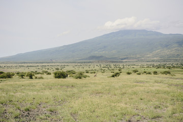 Fototapeta premium Landscape in Ngorongoro