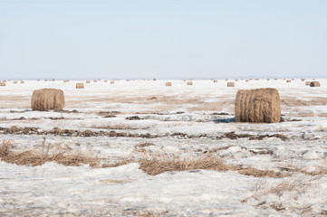 Snow covered round bale of hay in a farmers field