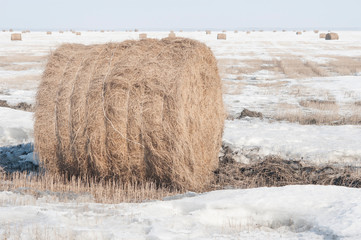 Snow covered round bale of hay in a farmers field