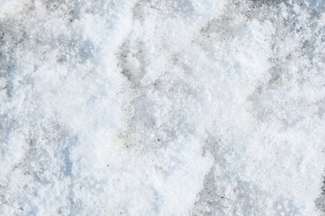 Frosty winter. White, powdery snow