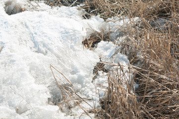 Frosty winter. White, powdery snow