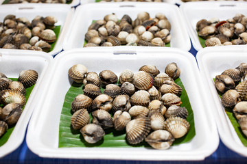 fresh cockles on the market