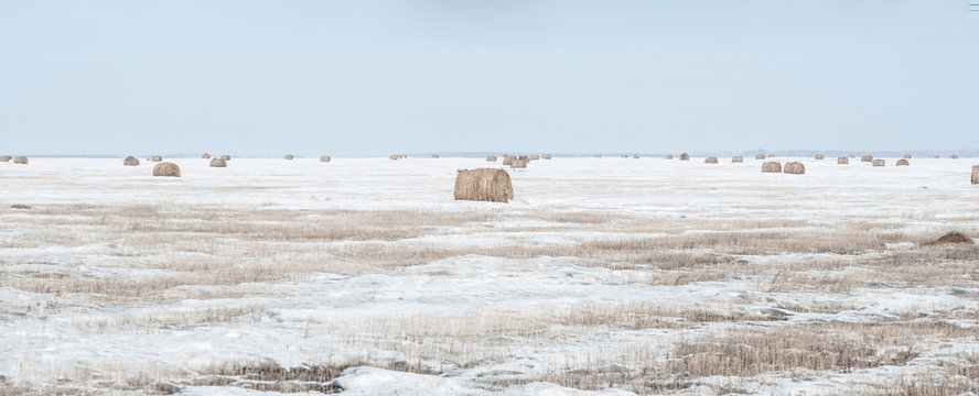 Snow covered round bale of hay in a farmers field