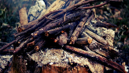 Burning woods