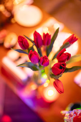 red tulips in a vase  