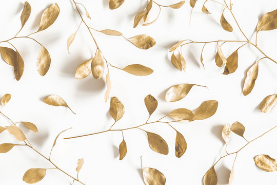 Eucalyptus leaves on white background. Pattern made of golden eucalyptus branches. Flat lay, top view