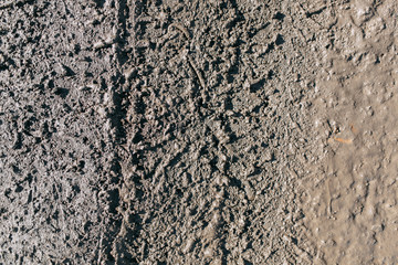  Blurred background and bokeh. The texture of the mud on the ground with a glare.
