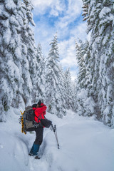 Hiker with big backpack take a picture of forest