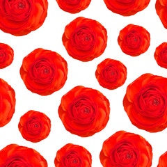 Vector Pattern of Realistic Red Poppy, Roses flowers. Anzac, Remembrance sunday. Flowers Parade
