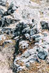 Natural textures for design. The texture of the stone with the moss.