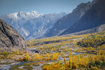 Landscape view of river flowing through forest in Gupis with mountain range in the background. Ghizer in autumn. Gilgit Baltistan, Pakistan.