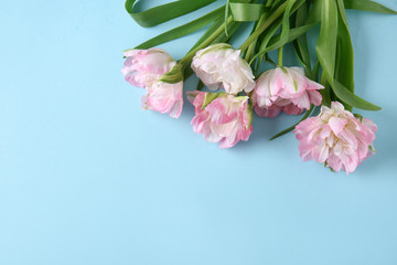 Fototapeta premium Bouquet of beautiful tulips on color background