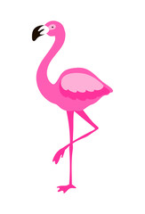 Pink flamingo standing on one leg isolated on white. Vector illustration
