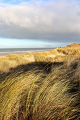 Küstenlandschaft Nordsee, Insel Juist