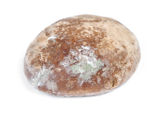 One moldy gingerbread cookie