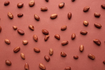 Tasty peanuts on color background