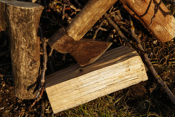 an ax on nature