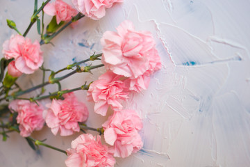  Pink flowers of carnations on a white background. Flower bouquet for a holiday