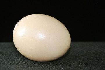 Chicken egg on a black background. Preparation for painting Easter eggs.