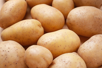 Many raw potato, closeup