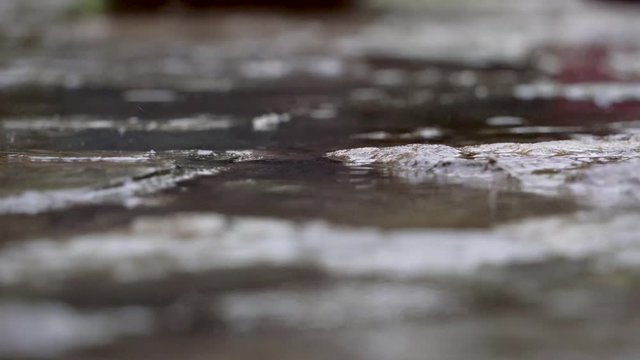 Closeup rain Drops.