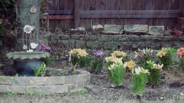 A rainy day with flowers.