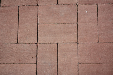 Obraz premium laying of paving slabs