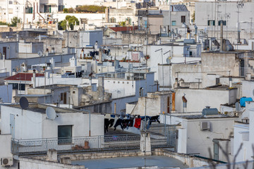 Fototapeta premium Ostuni, Apulien, Italien