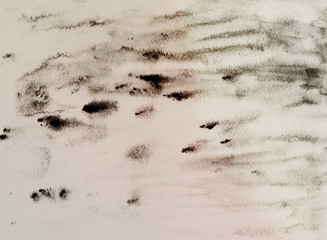 Watercolor