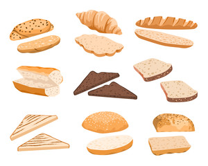 vector sandwiches illustration
