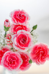 花_15