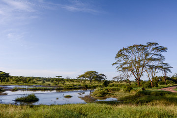 Fototapeta na wymiar Landscape in Manyara National Park