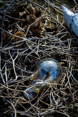 Una lampadina rotta stesa su dei rami secchi