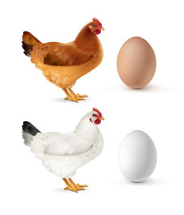 Hens and eggs