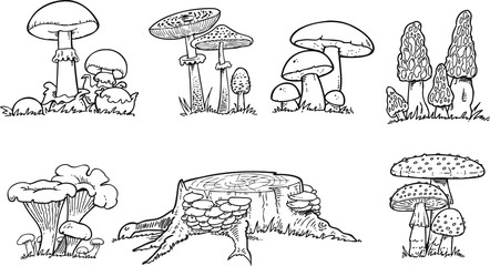 Mushrooms