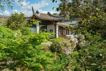 The beautiful Chinese Garden of Huntington Library