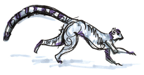 Cat Lemur rough marker sketch. Traditional art with visible strokes 