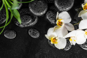 top view of spa concept white orchid (phalaenopsis), green leaves and black zen stones with drops in water