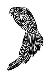Hand drawn parrot outline sketch. Vector bird black ink drawing isolated on white background. Graphic animal illustration