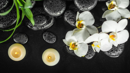 top down of spa composition white orchid (phalaenopsis), candles and black zen stones with drops in water, panorama