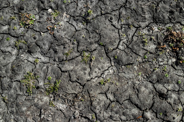 Dry, cracked earth, greens. The concept of drainage of land, lack of fresh water.