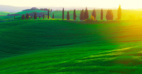 Stunning Landscape in Tuscany, Italy. 