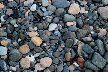 Pebbles and Sea Shells on a Shingle Beach