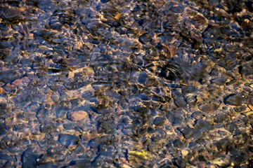 Running Water in a River in Springtime