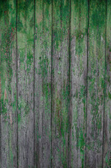 Green painted plank fence with cracked and scratch. Vertical grunge texture