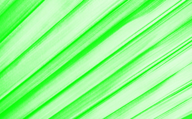 green abstract background