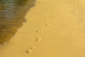 Footprints on the sand of the sea beach