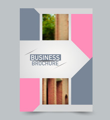 Pink and grey flyer vector design template set. Business brochure. Annual report or magazine cover.