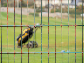 Metal fence in focus, Golf cart out of focus, Daytime, Abstract golf background.