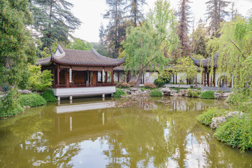 Fototapeta premium The beautiful Chinese Garden of Huntington Library